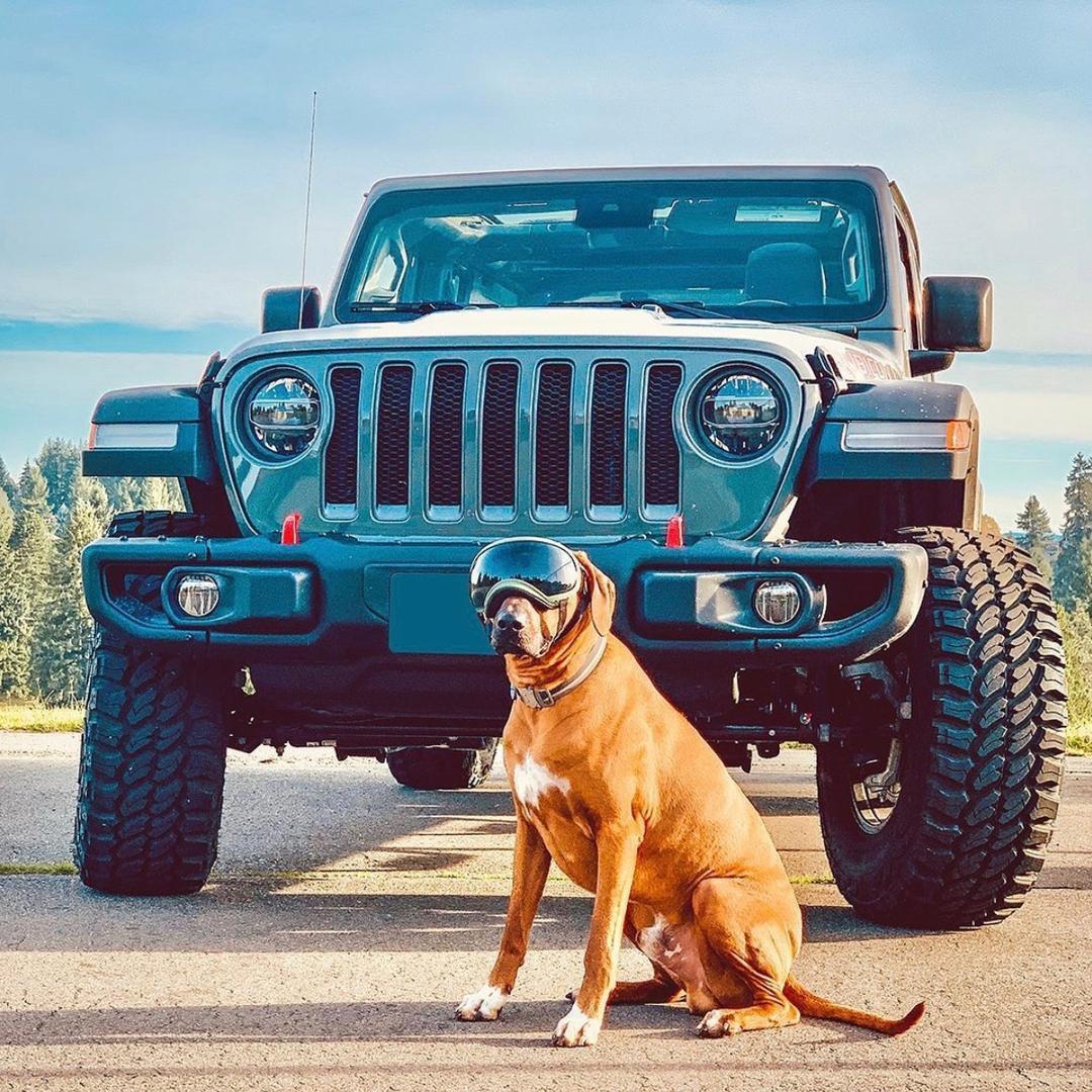 Jeep信阳威佳店