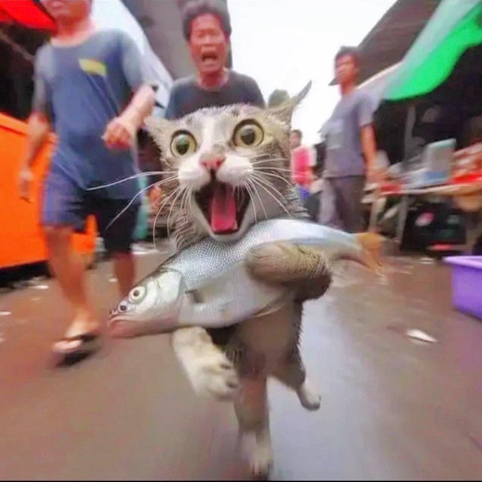 ＡＡＡ－电商大亨