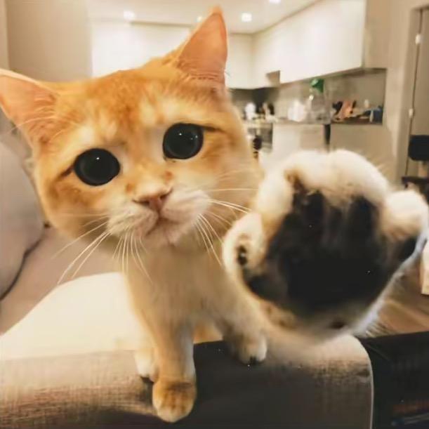 OoO