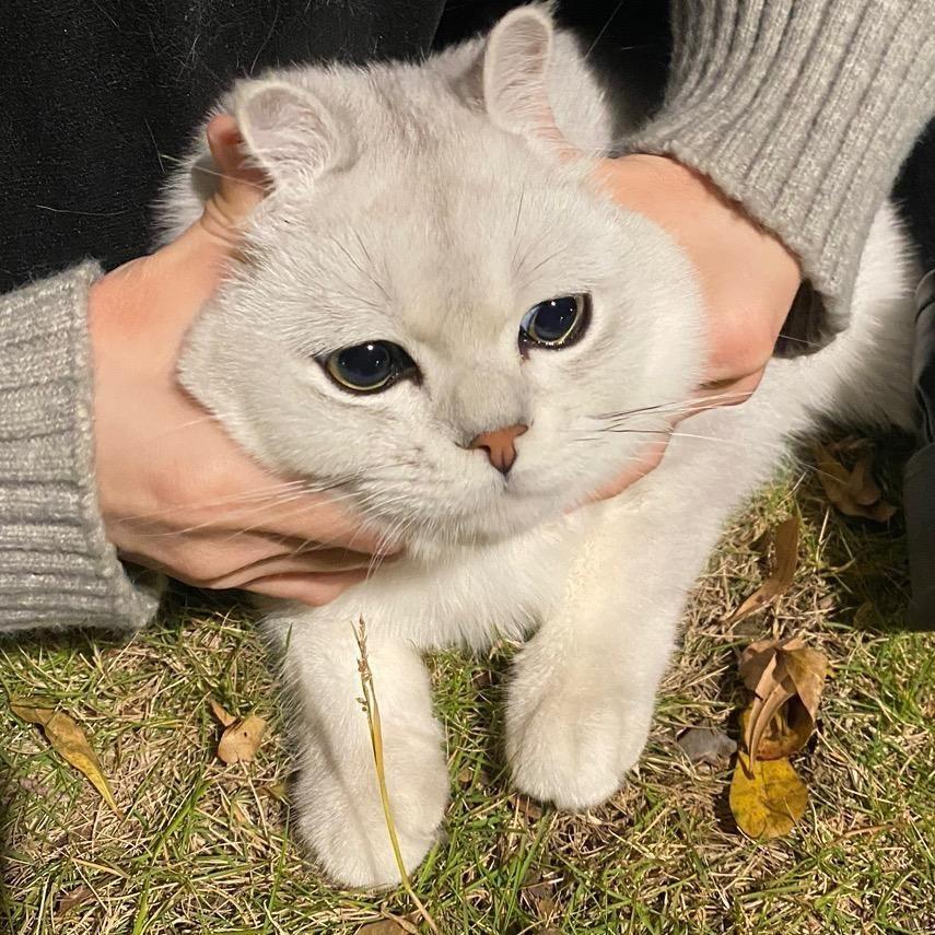 裴小川💕