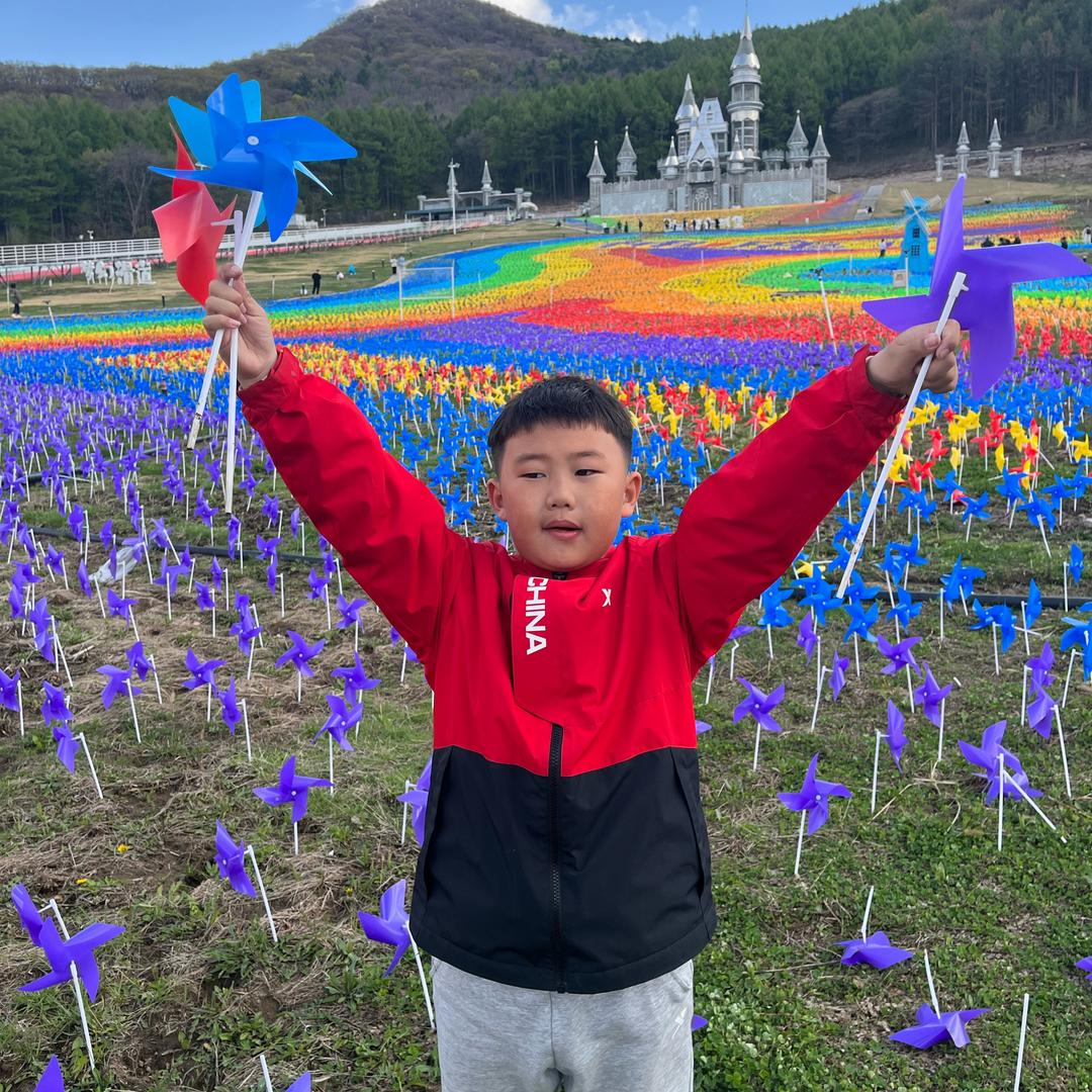 奇宝的日常生活