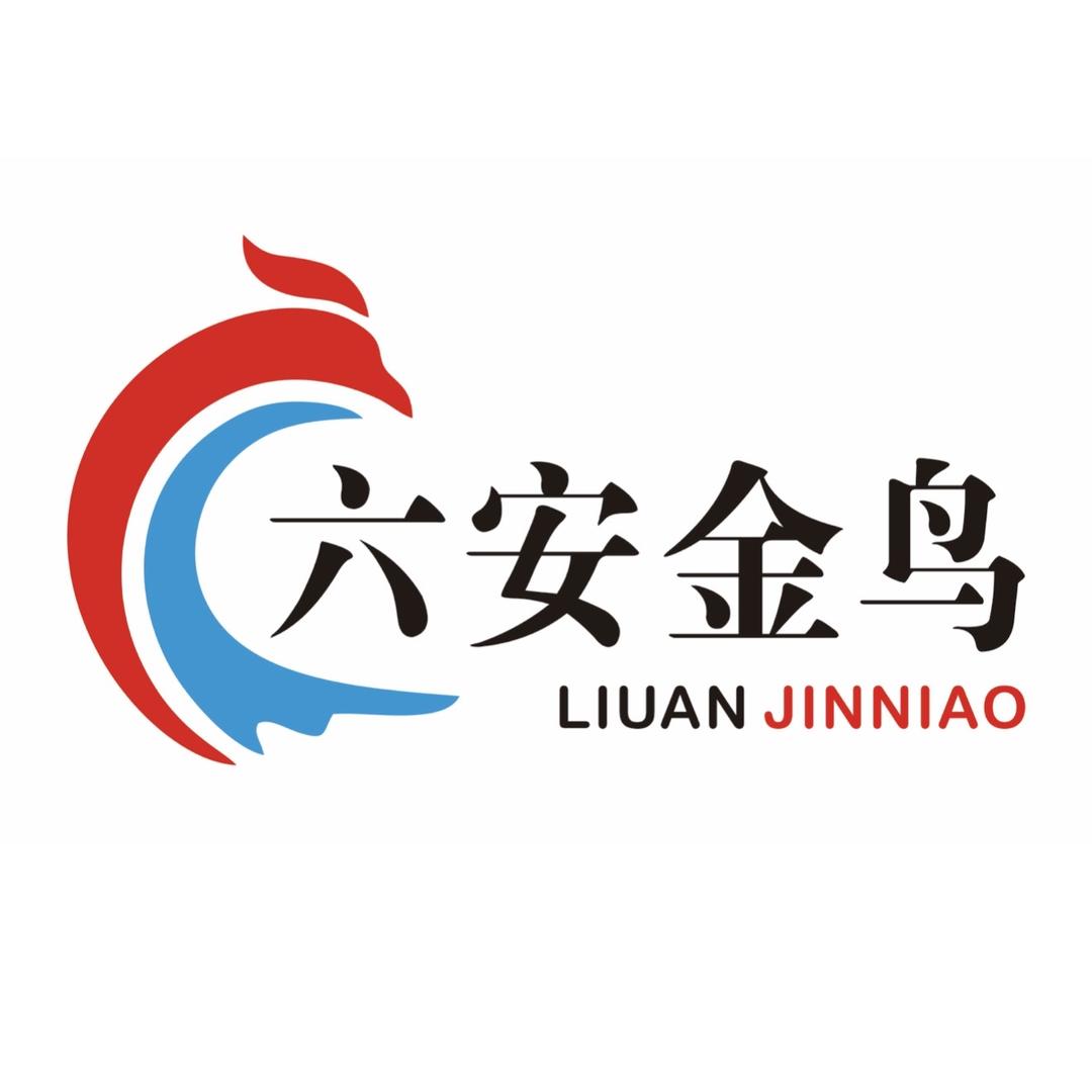 丽驰电动汽车（六安绘姐）