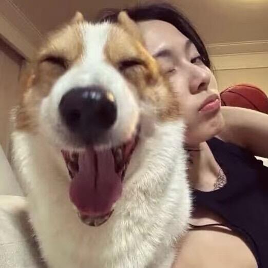 乔💤