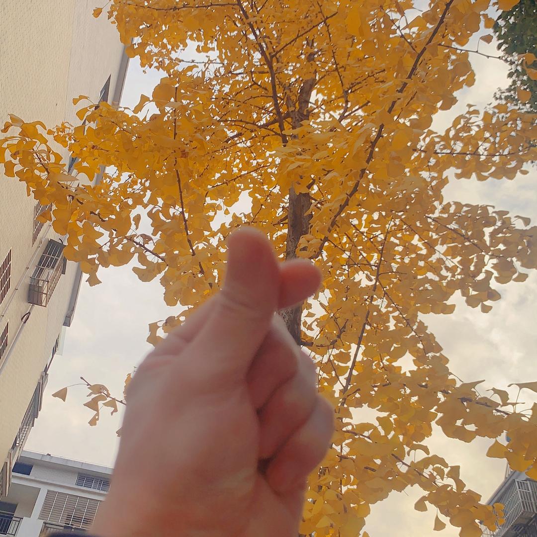 岁月无痕吧