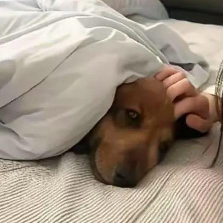 殷殷殷伯伦.