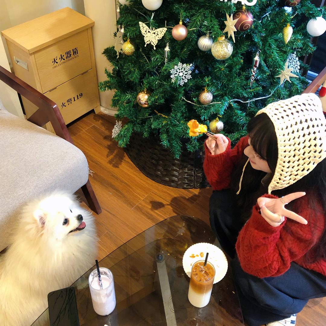 盘丝大蜘蛛