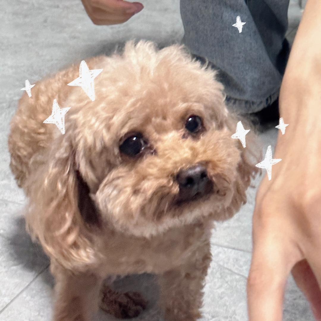 懒觉呐