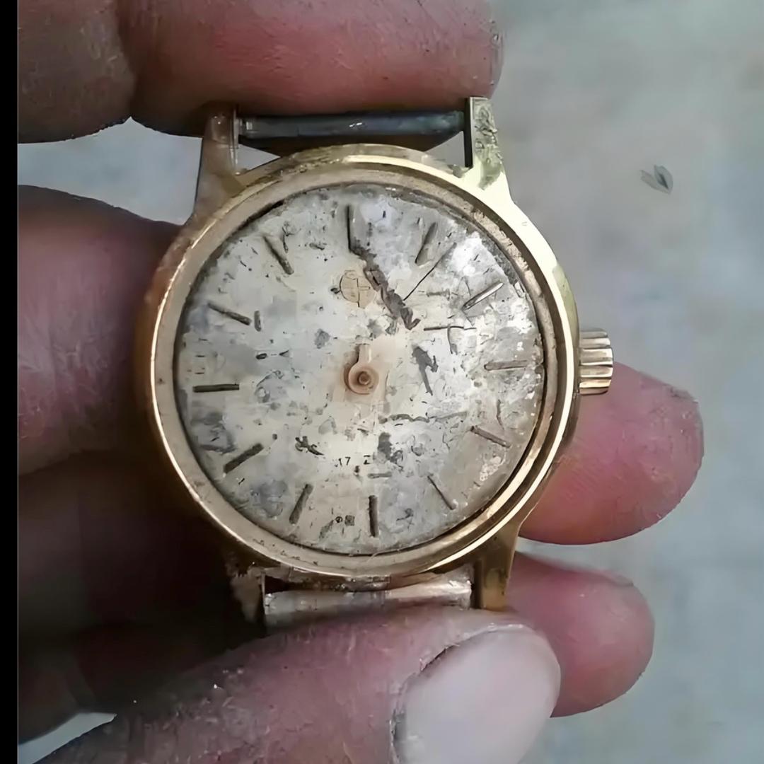 三沙水产_明品福