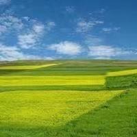 红红火火🍎