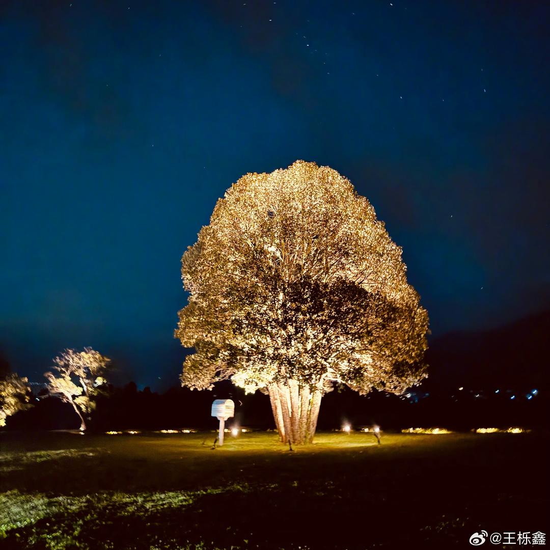 小糊纸是修🐶大王🤨