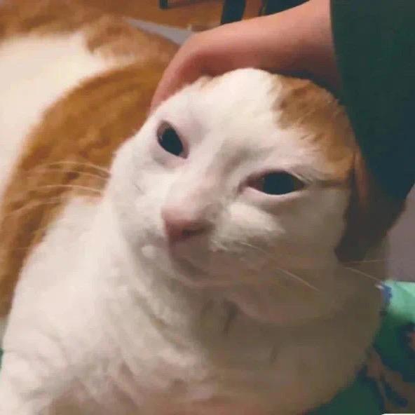 飛魚