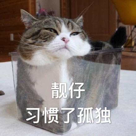 小朵工作室