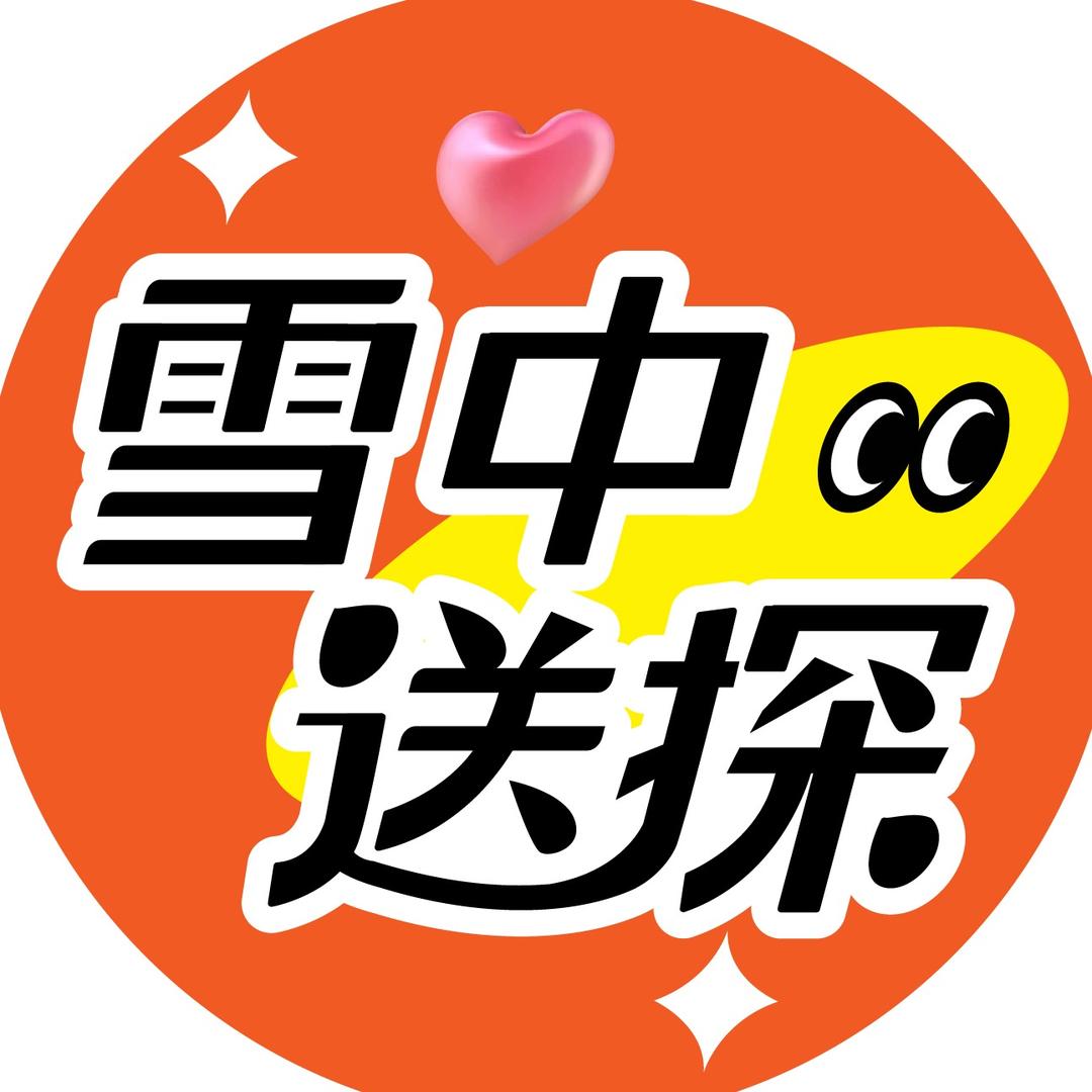雪中送探