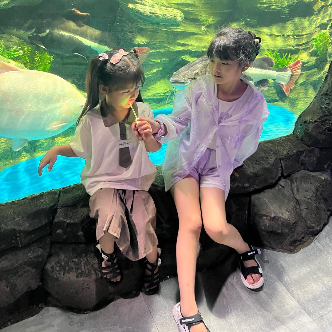 杨帆启航⛵️