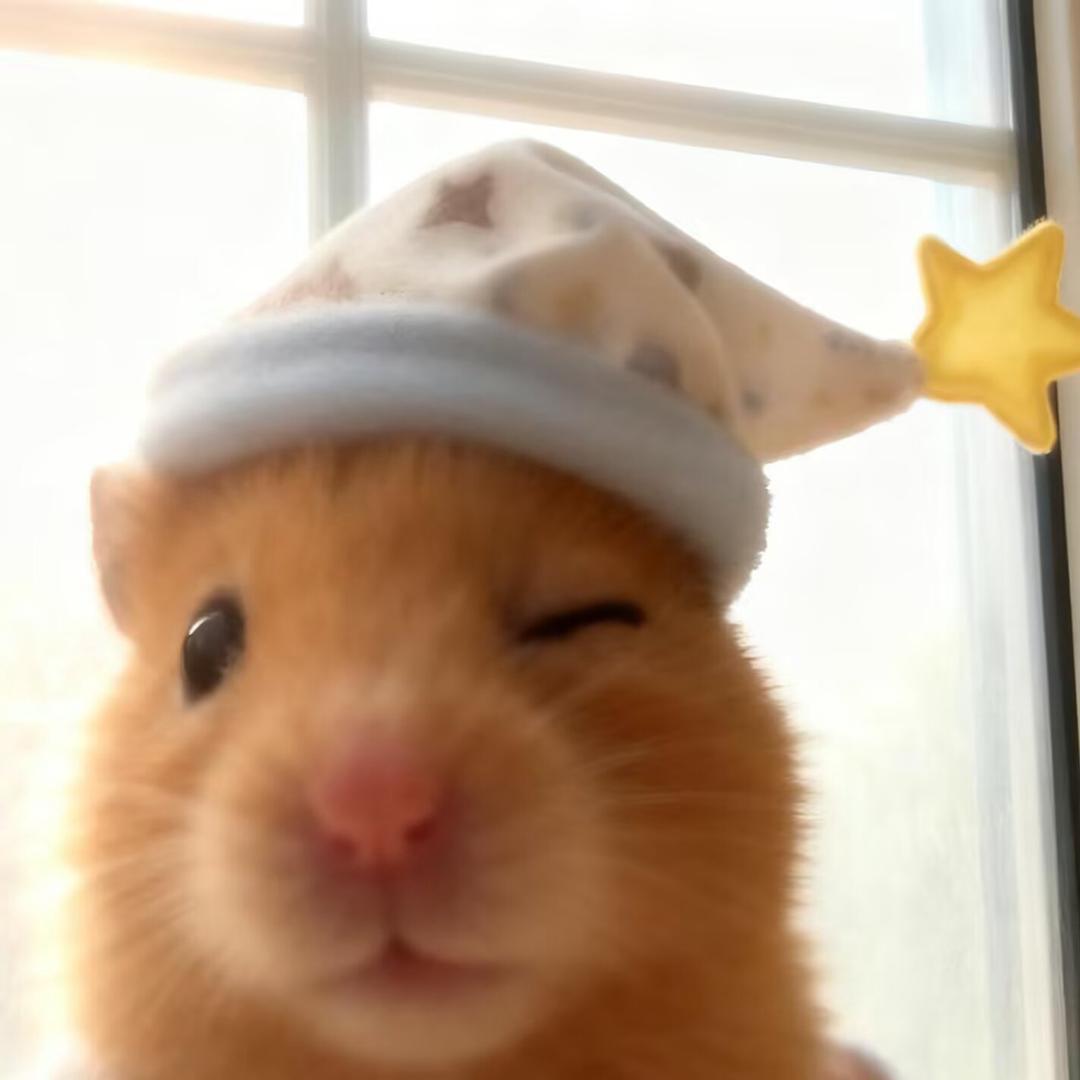 绿色的西兰花