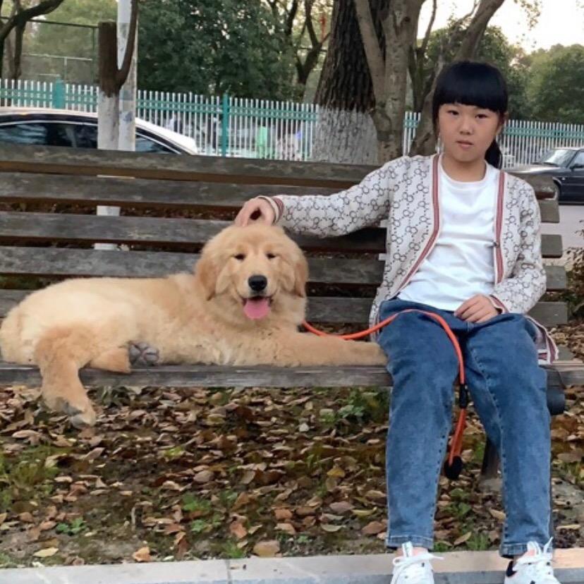 项慧菓