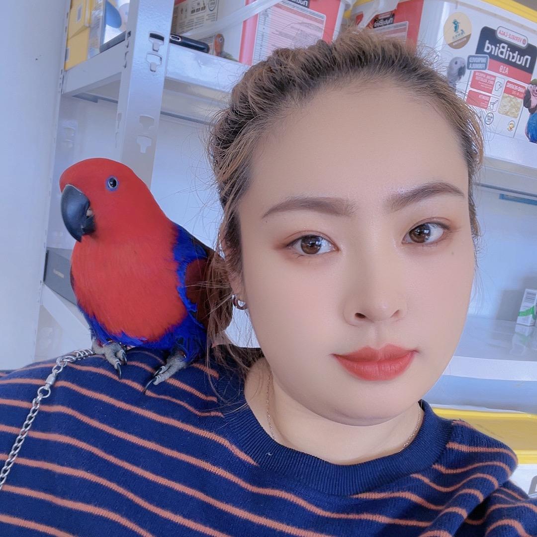 洋嫂鹦鹉🦜✨✨