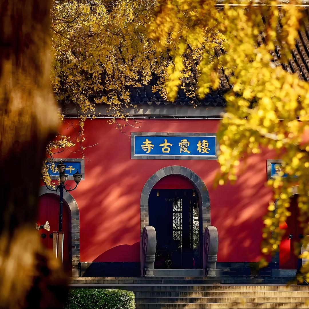 忆祖商贸经营部