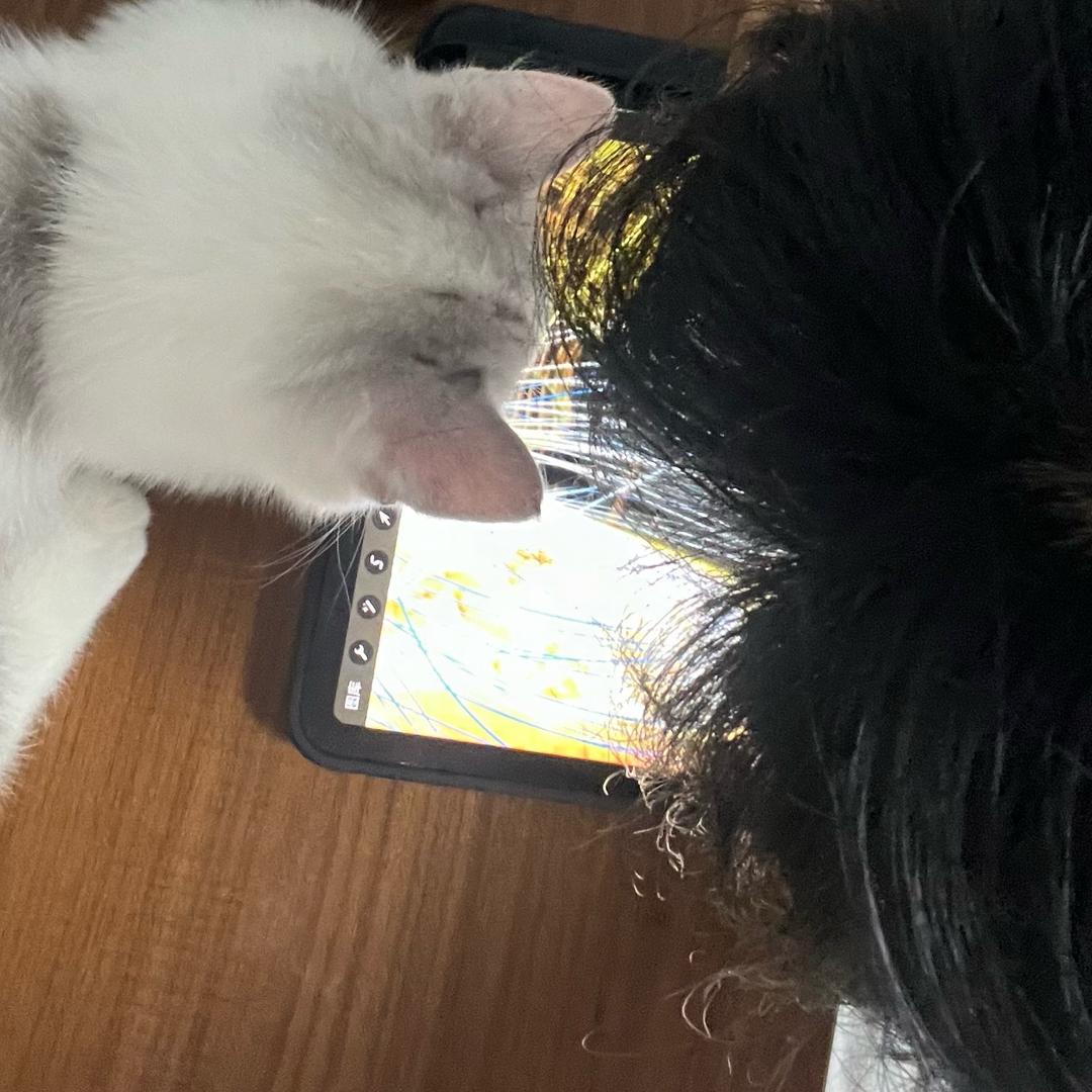 和朋友一起滑板最开心