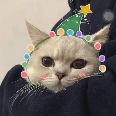 屿阳