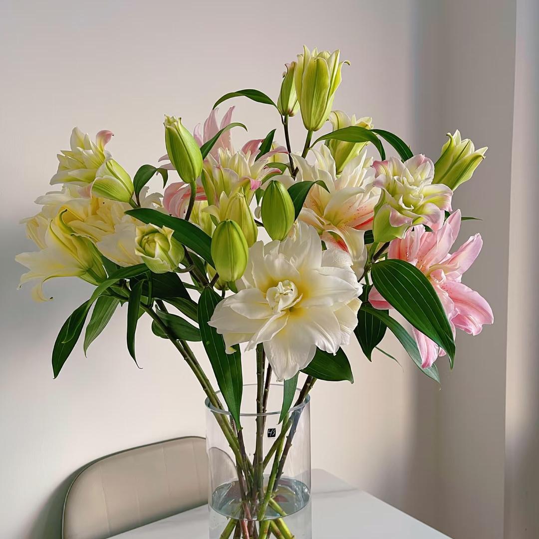 花伴生家居花（生活鲜花）