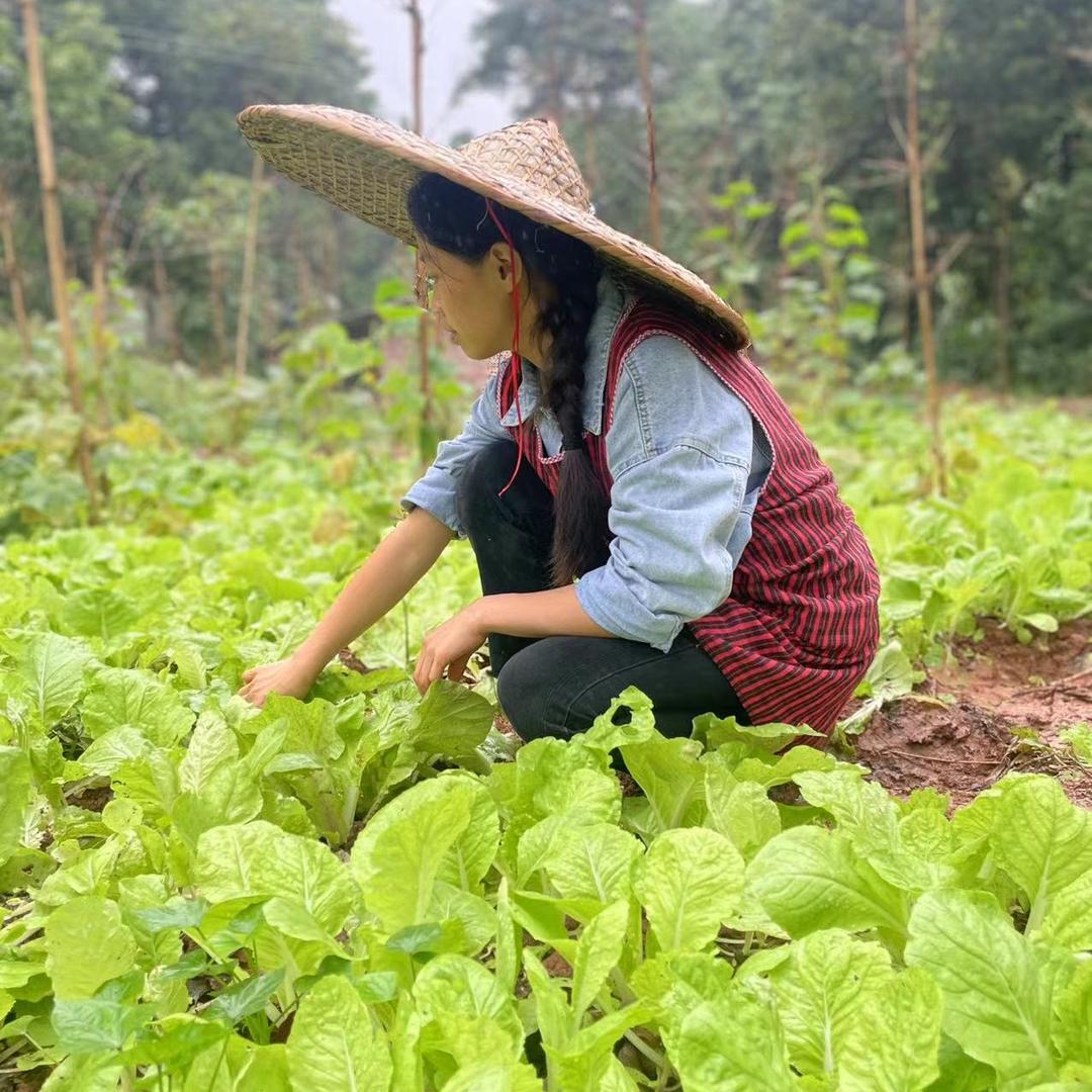 谢婷
