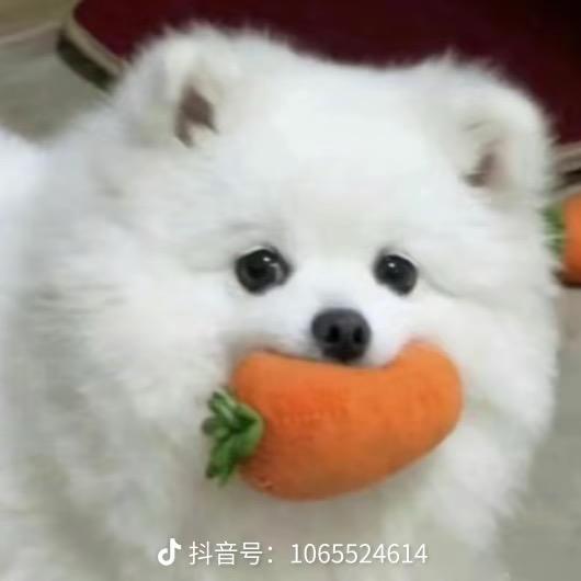 *我才不是小心眼儿