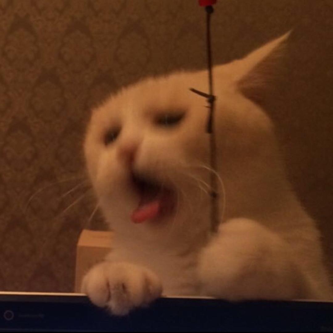 好歌剧