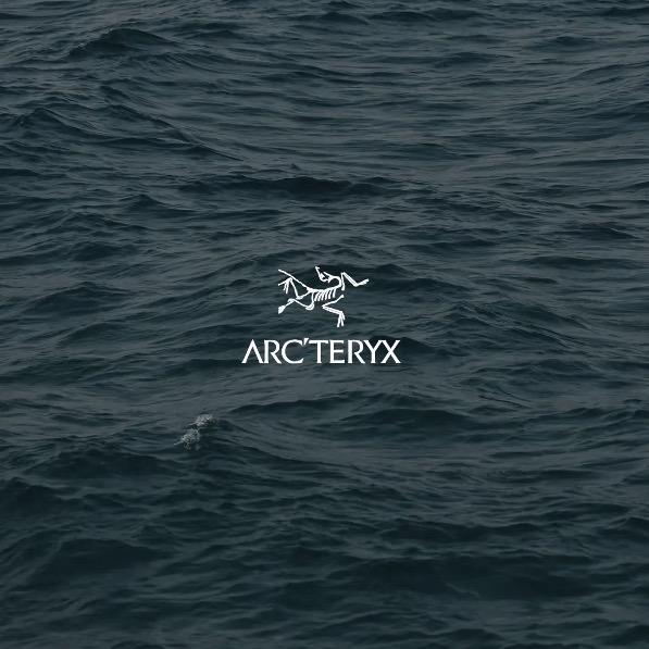 台州最后的🐦王