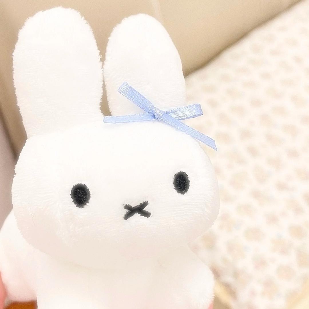 呼叫面包