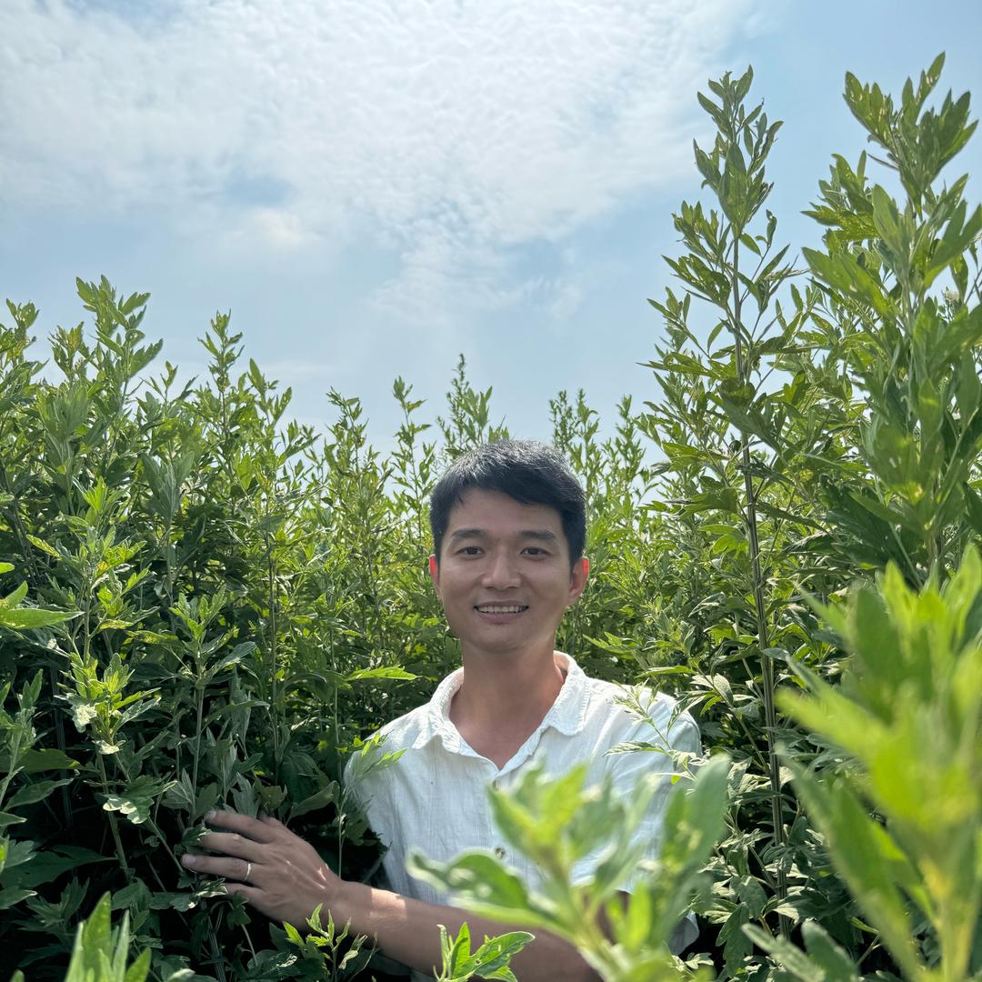 蕲州艾农浩哥