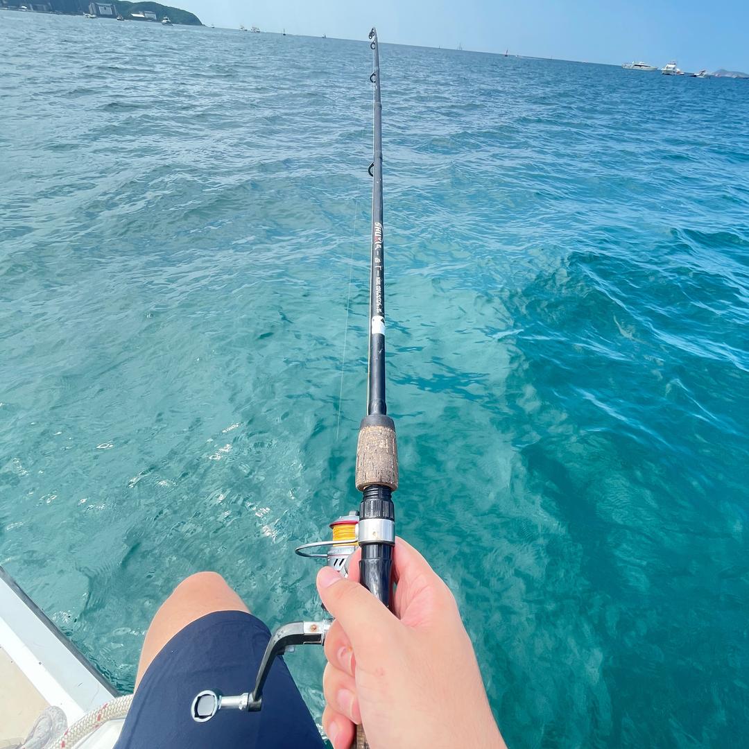 海带（暗区突围无限）