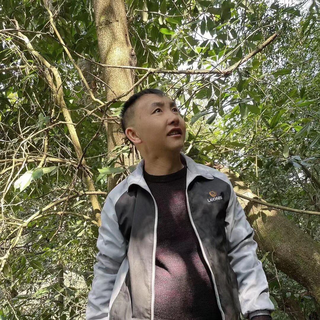 与你手牵手