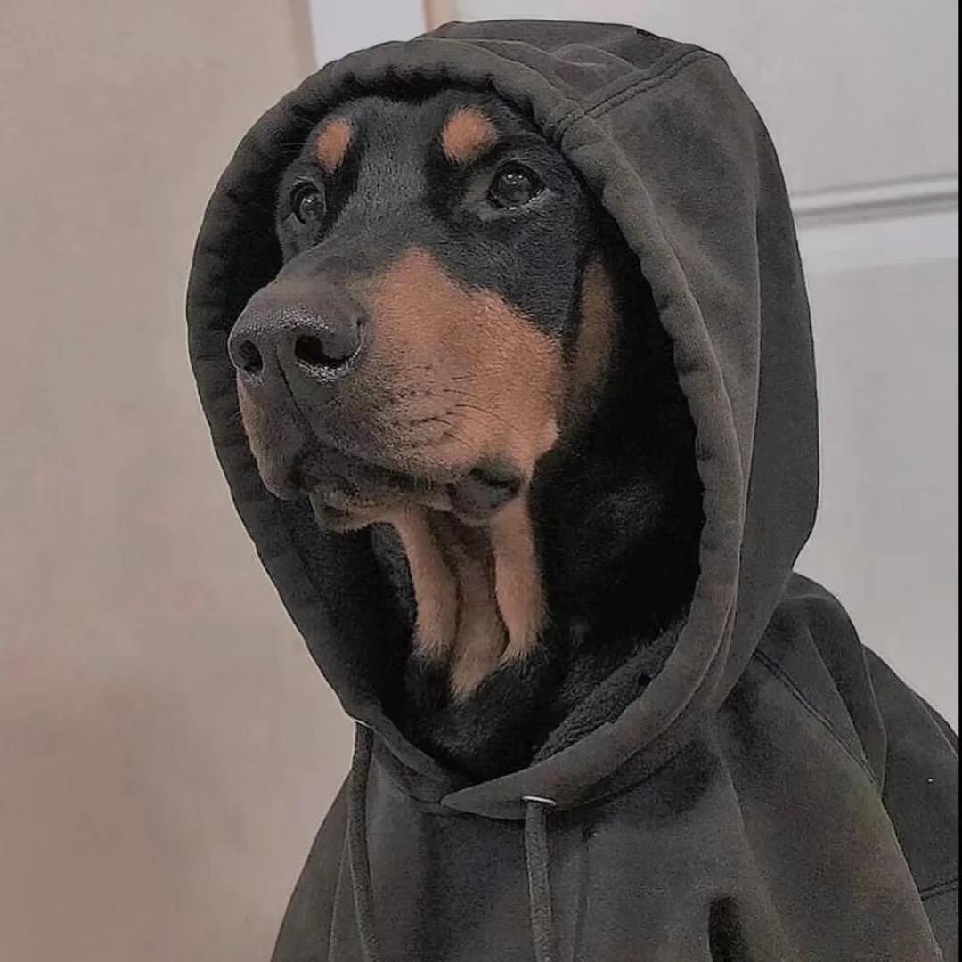 ɴᴏɪɴ