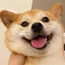 沐。