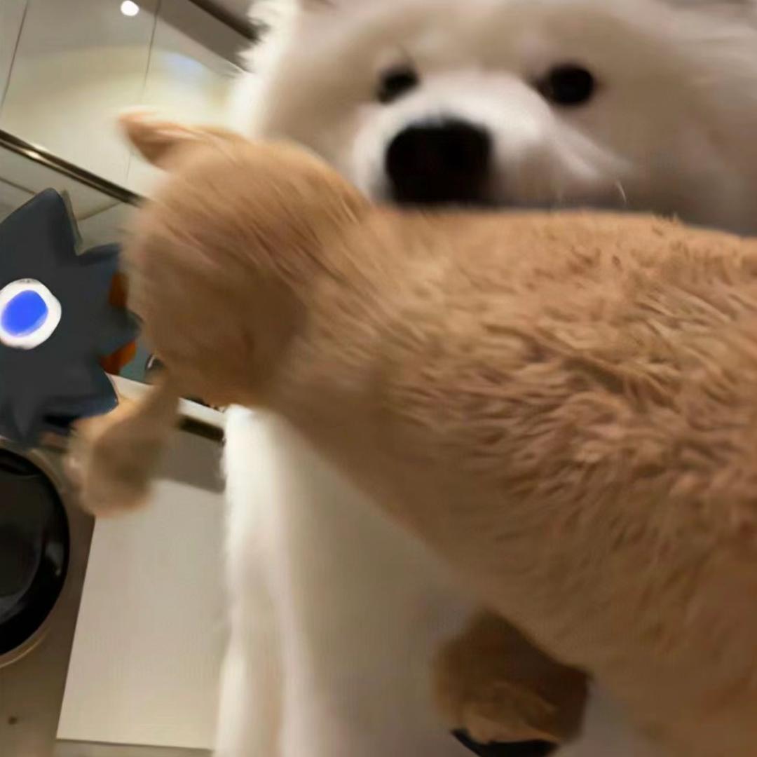 不愿意