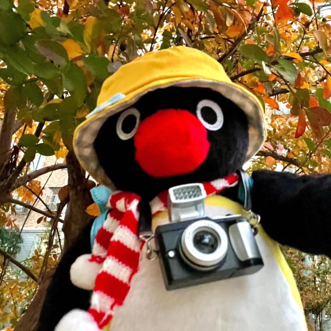 企鹅日记🐧