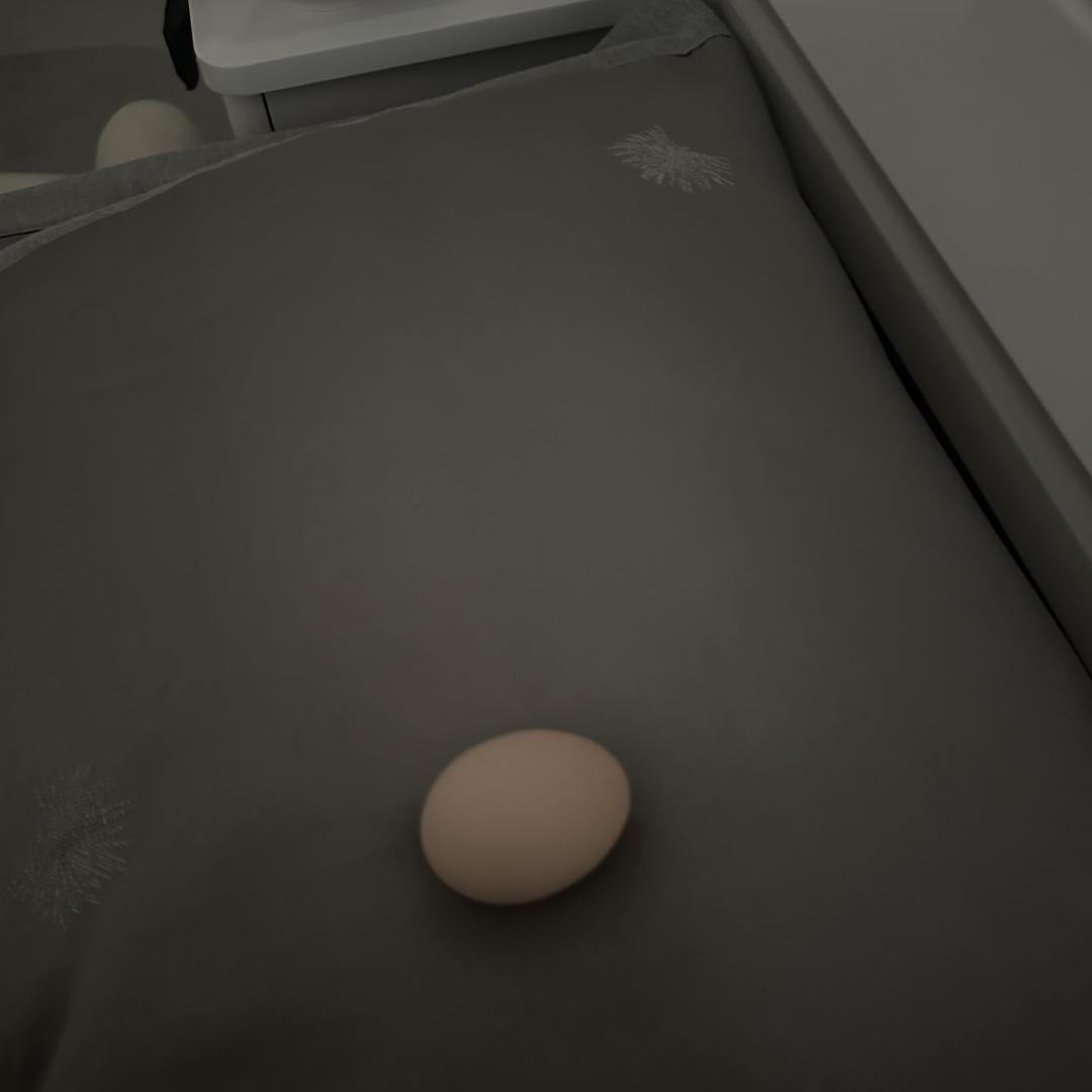 92335384380
