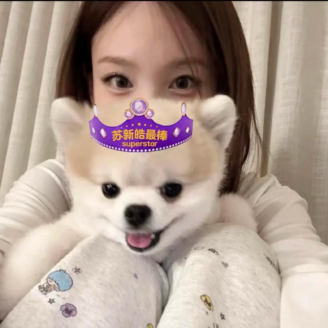 苏脆小铲✶ *🎹 ︎♪ ꙳💭