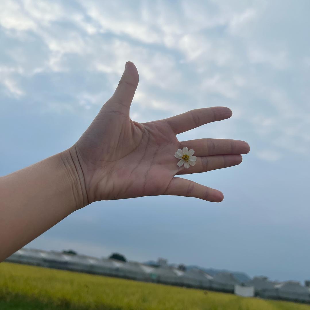 我姓余🐟