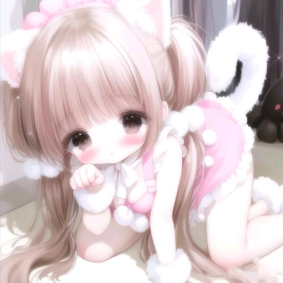 猫咪