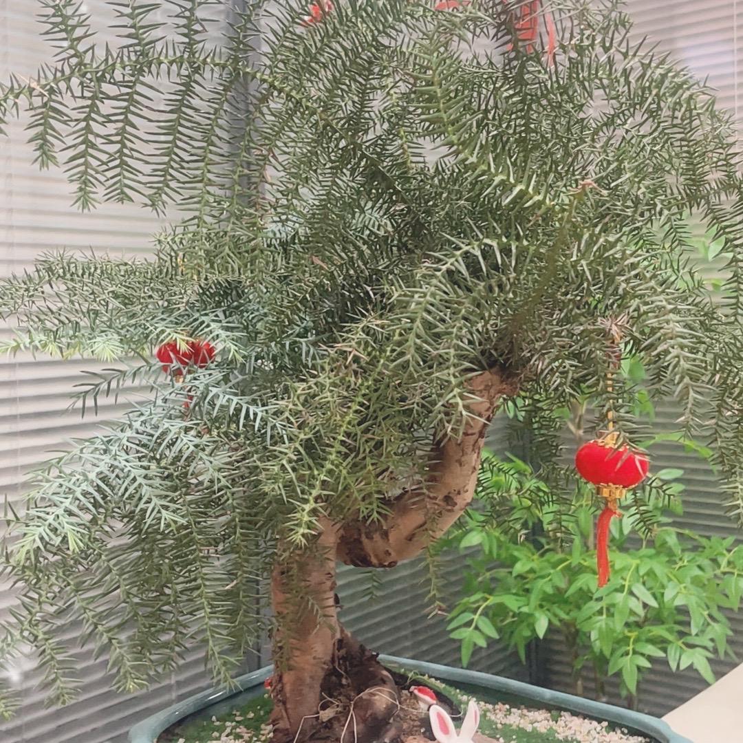 广州瑾以科技优品小铺