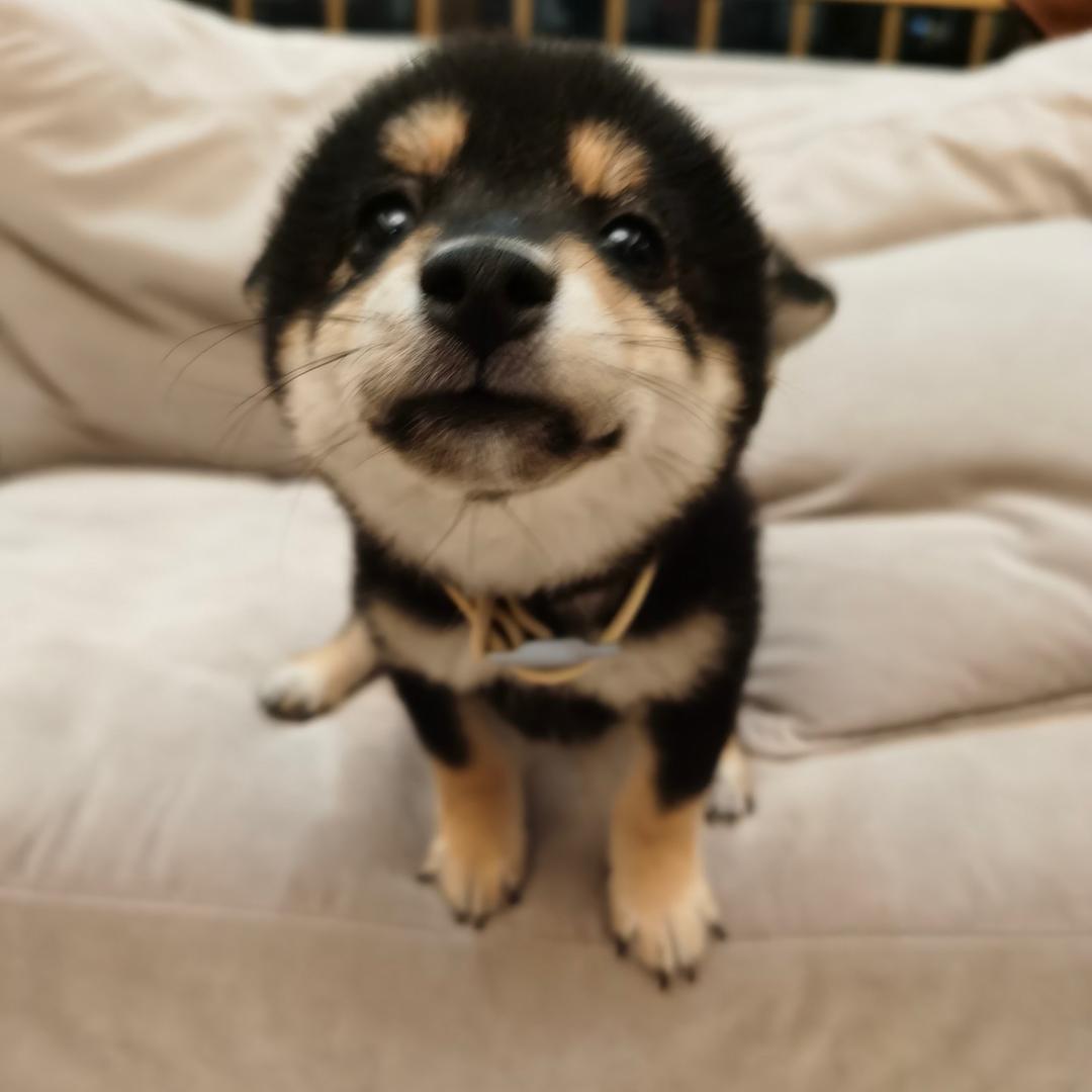 酸酸涩涩长不大叻@抖音