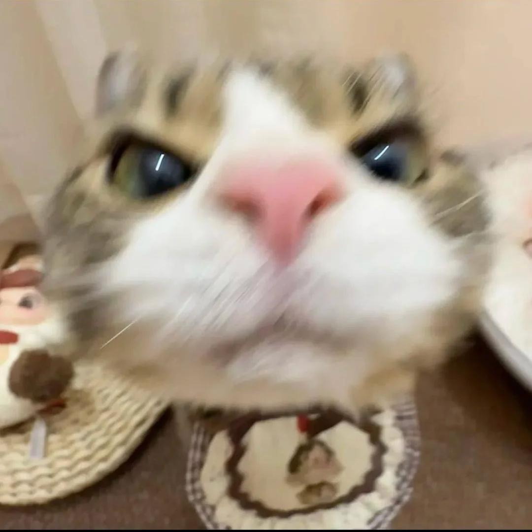 艾北北