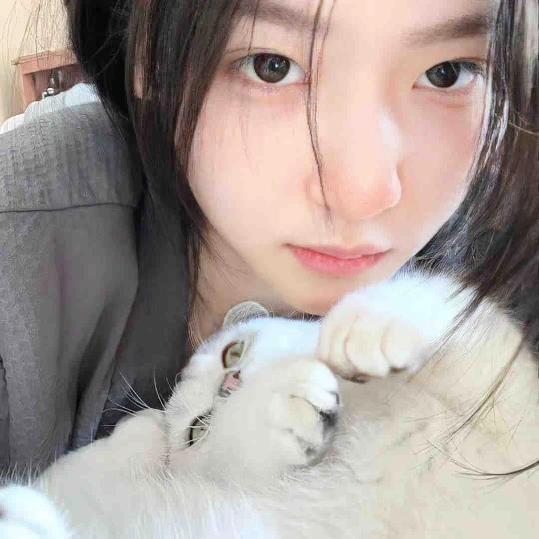 夹心奶昔🐾