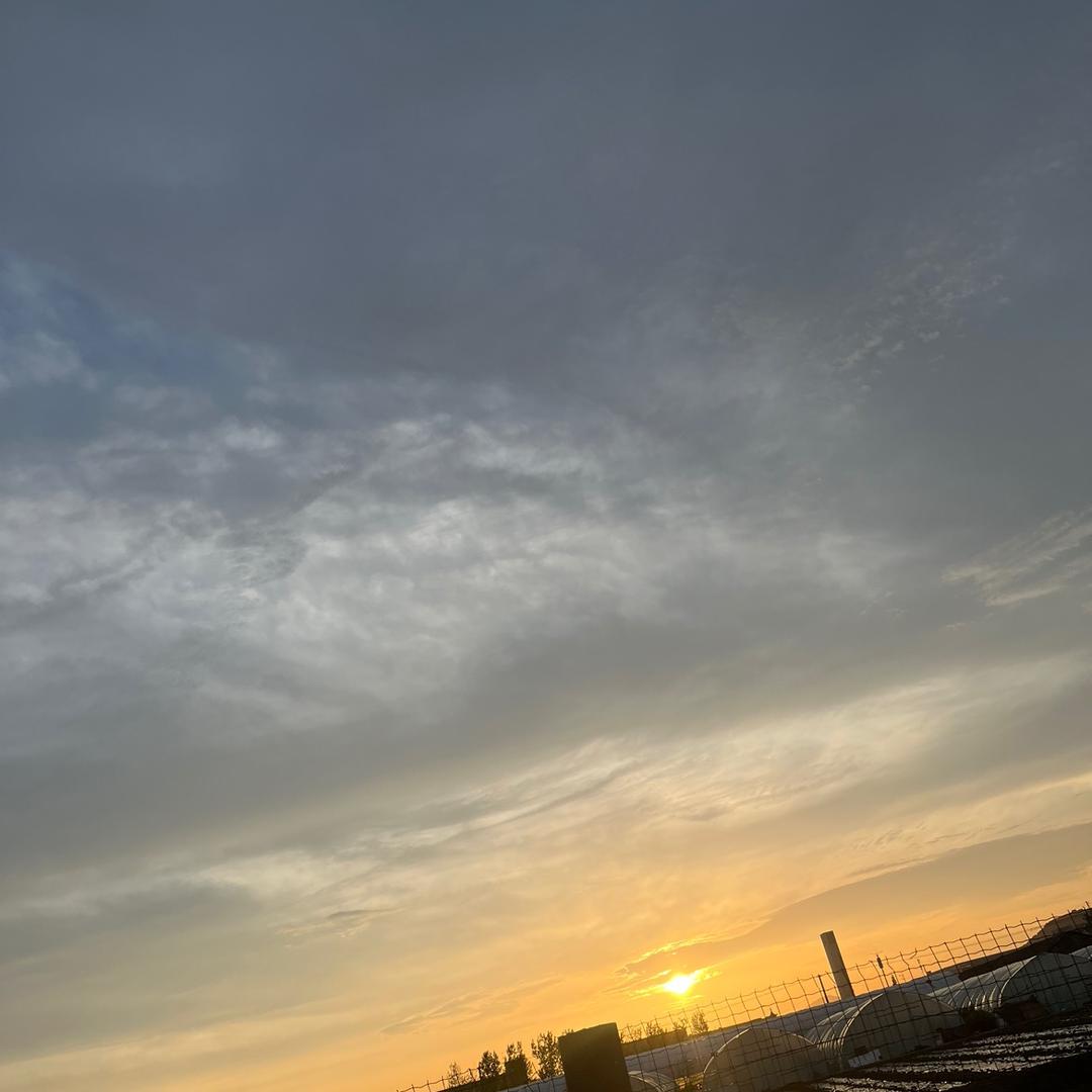 平静如初