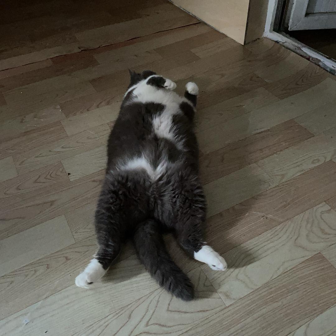 难过的时候只有哭😭