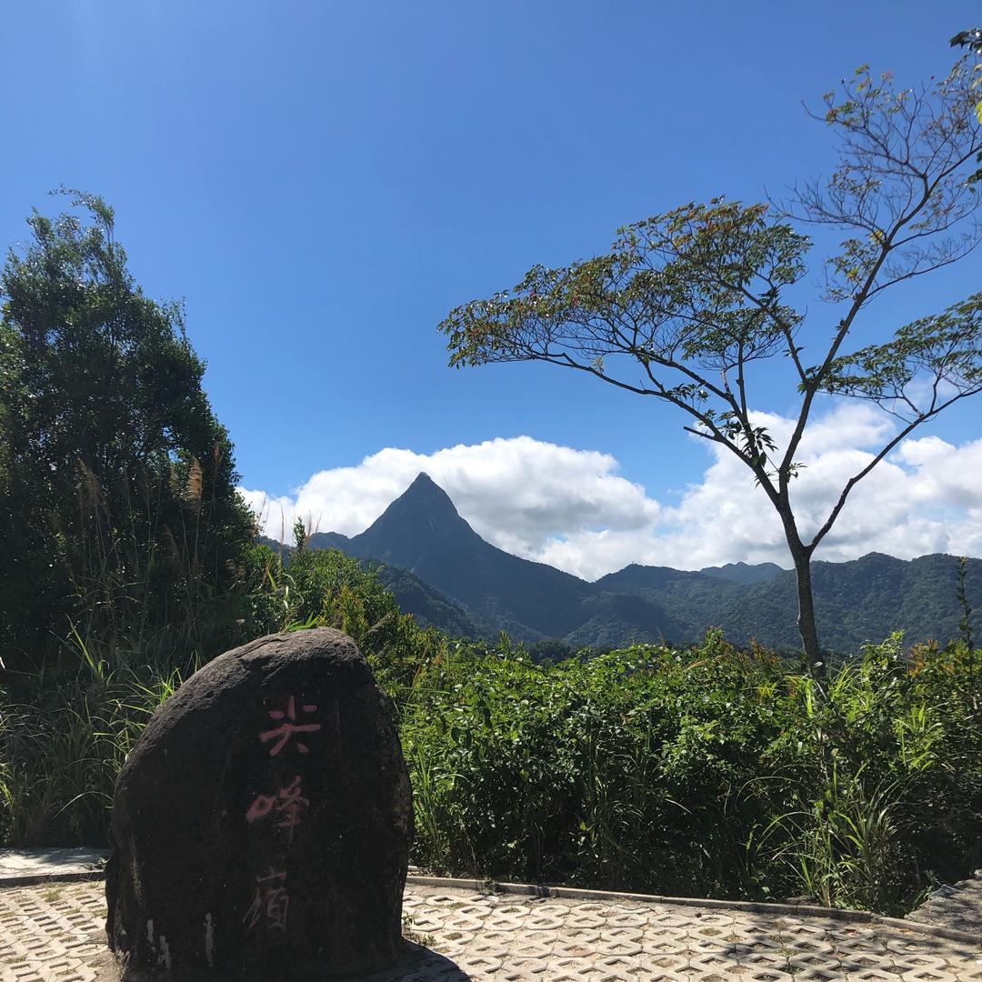 海南黄花梨 沉香