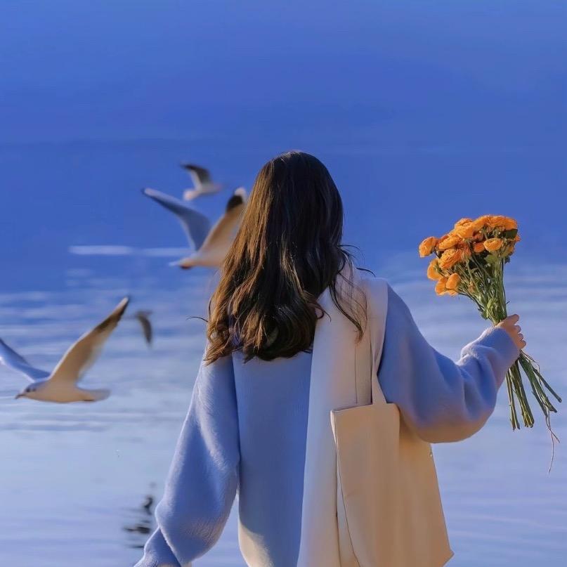 向阳花🌻