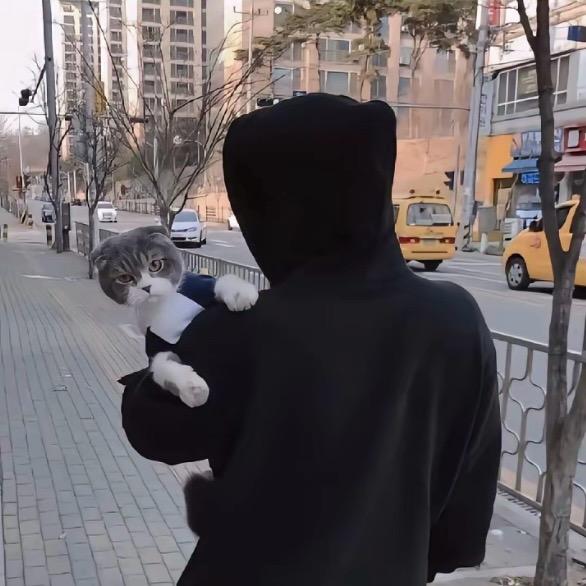 满天星˙